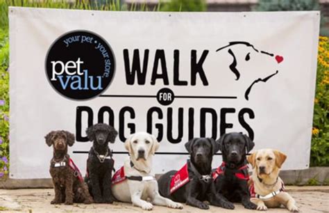 walk for guide dogs